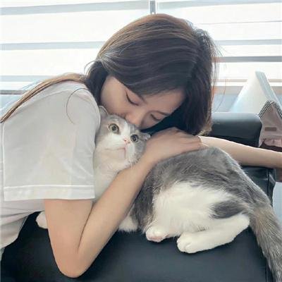 妻之告白